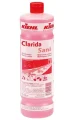 clarida sani.jpg
