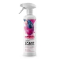 77-904-Clinex-SCENT-Paryski-wdziek.jpg
