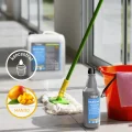 77-936 - 1 - CLINEX Multi Clean - Mango 1L.jpg
