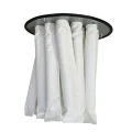 large_158336005667b37423ec1df.png